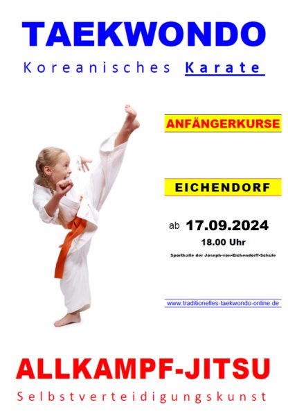 Taekwondo_Anfaengerkurs